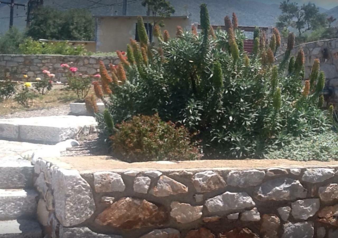 Focalion Castle Luxury Suites Pírgos Dhiroú المظهر الخارجي الصورة